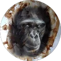 Armelle Fournigault Avatar